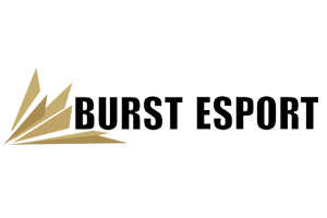 partner-burst-esport
