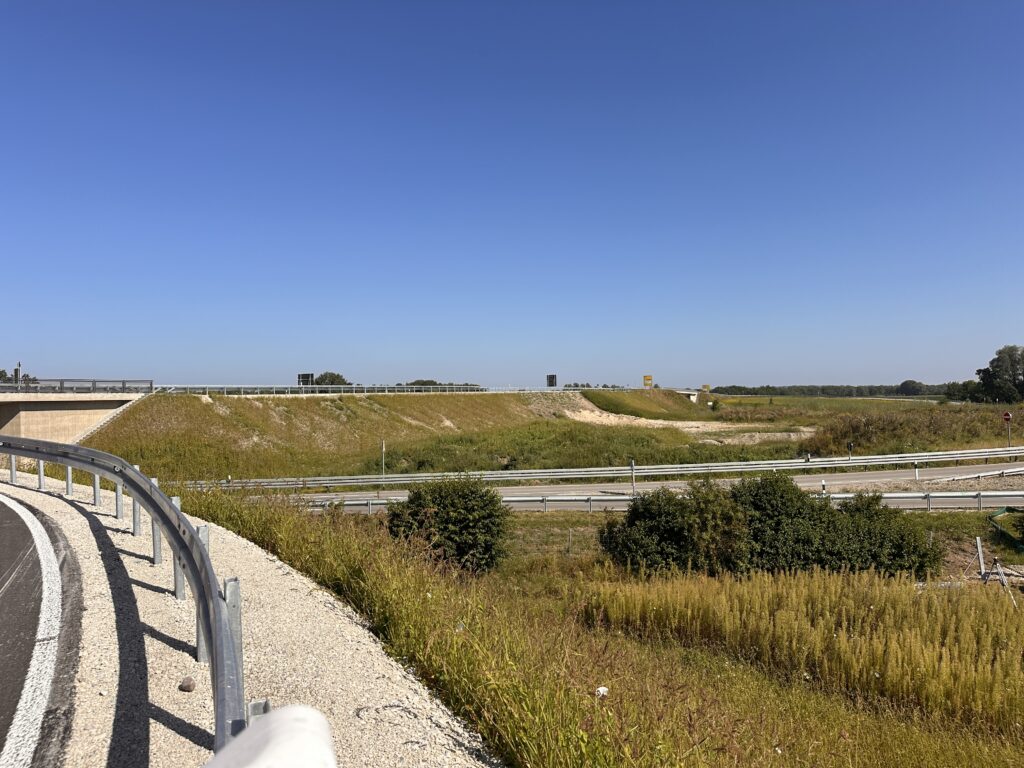 Strassenbegleitgrün