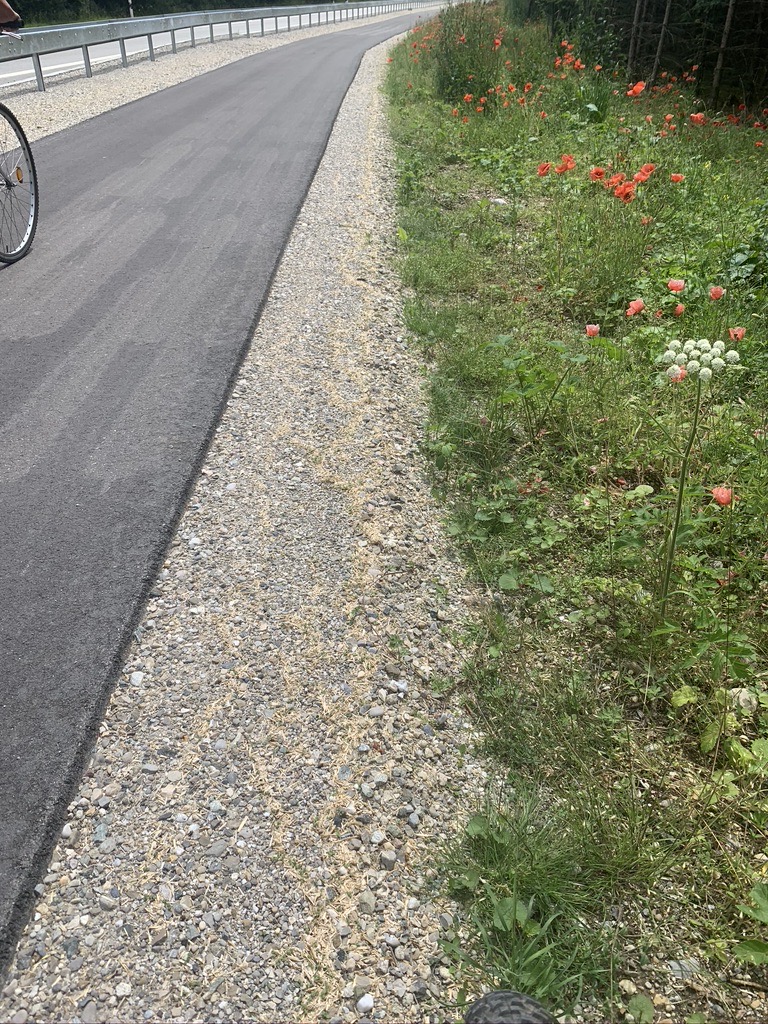 nachhaltige Begrünung