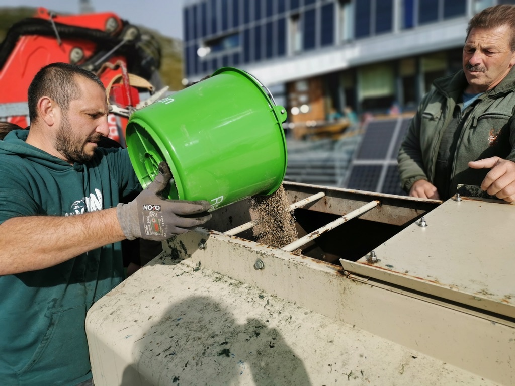 Hydroseeding Verkehrswege